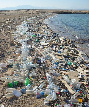 Crédit photo: Vberger (image modifiée) 