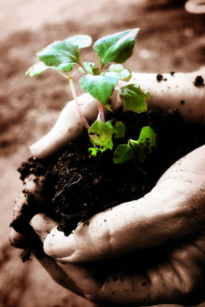 Image provided to Microsoft by iStockphoto. Used with permission from Microsoft