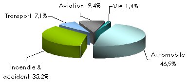 NICE repartition par branche