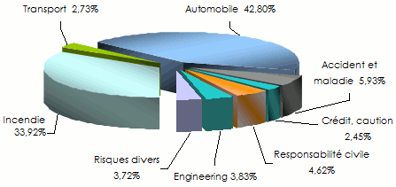 Afrique du Sud repartition primes non vie 2012 par branche