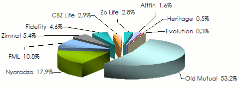 Marché assurance Zimbabwe