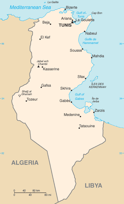  tunisian insurance market