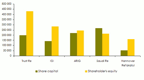 reinsurance middle east capital shareholder's equity company