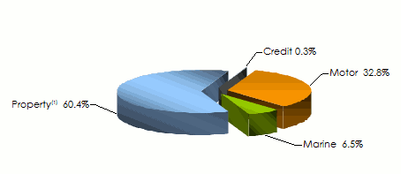 CAAT-Algeria turnover per class of business