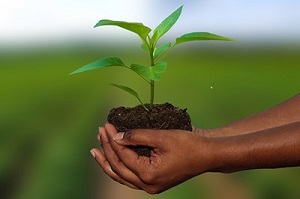 Assurances Agricoles