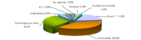 Sanlam chiffre affaires