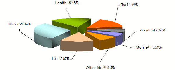 Tanzania insurance market