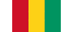 Guinea flag