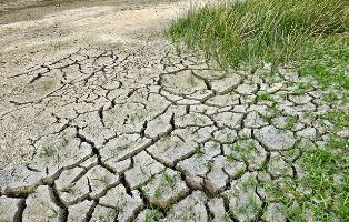 changement climatique