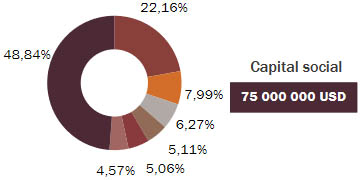 Arab re capital social