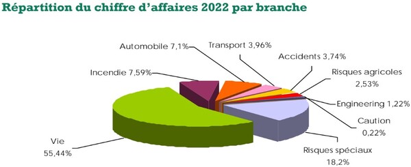 Leadway Assurance Company chiffre affaires